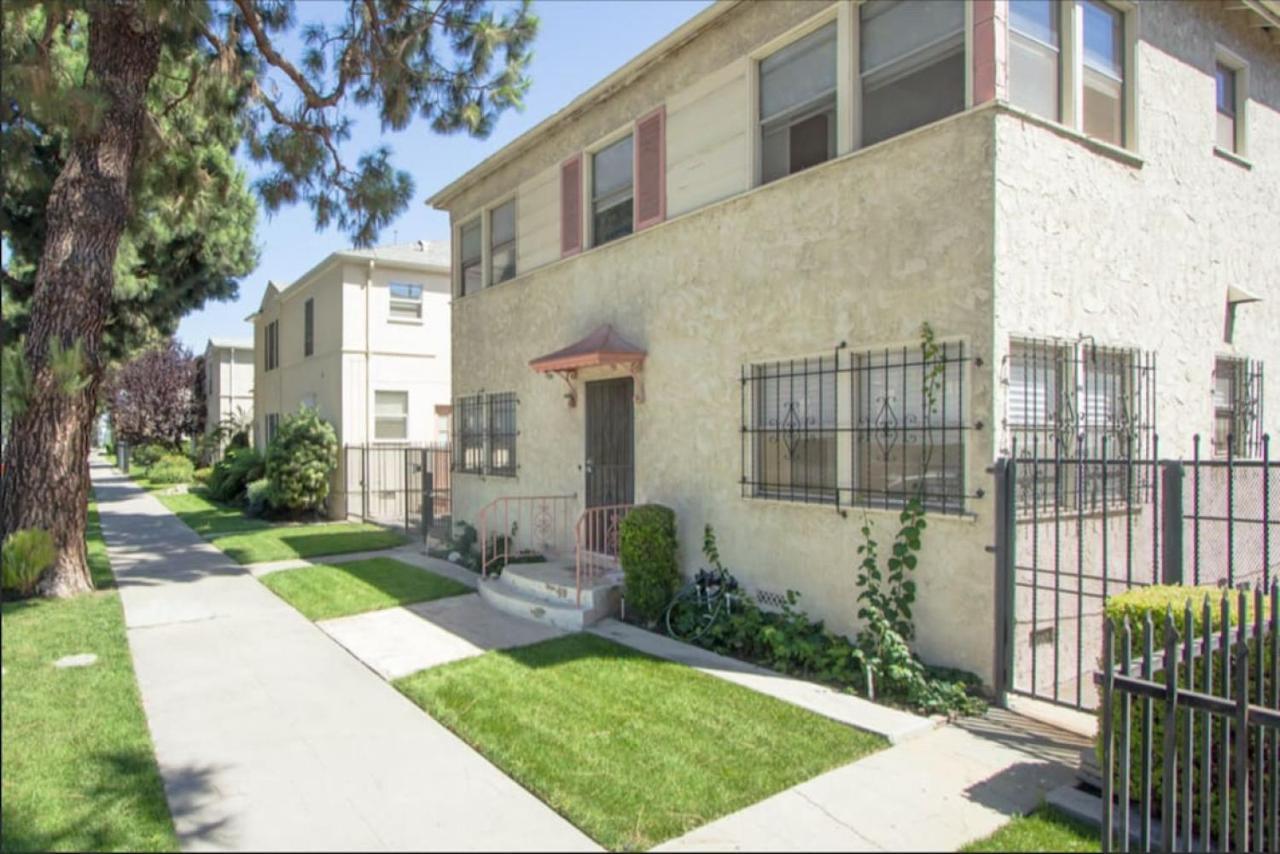 Spring Charmer In The Heart Of The Los Ángeles